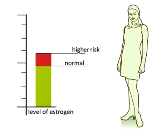 Estrogen có liên quan đến sự hình thành u xơ tử cung